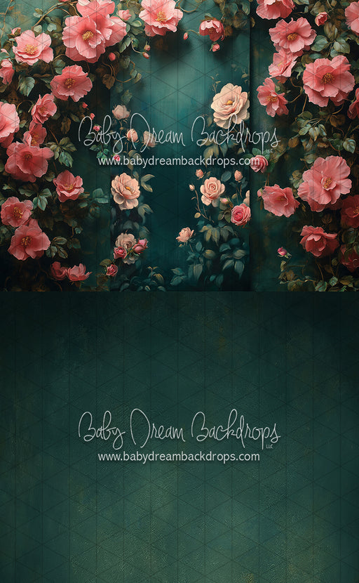 Sweeps Nova Rich Spring (CC)