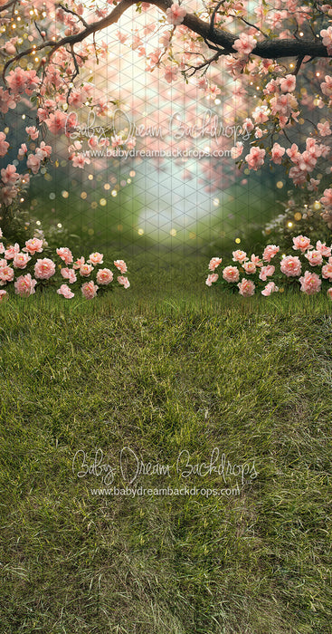 Sweeps Pink Blossom Gateway (JA)