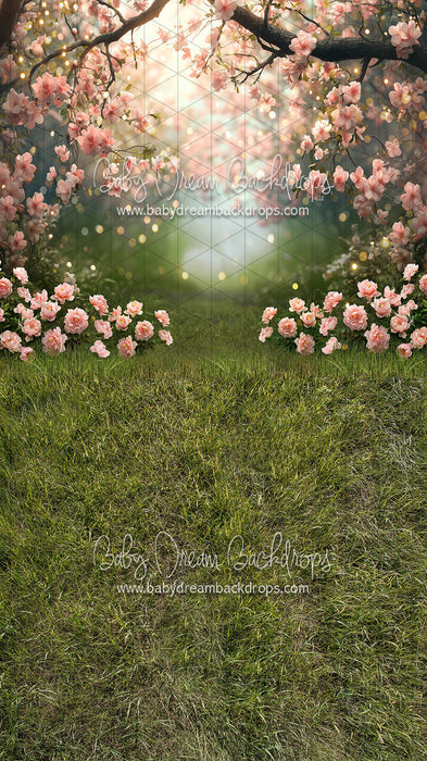 Sweeps Pink Blossom Gateway (JA)