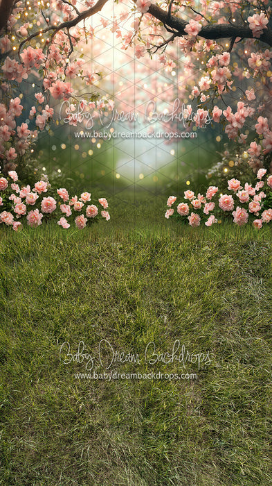 Sweeps Pink Blossom Gateway (JA)