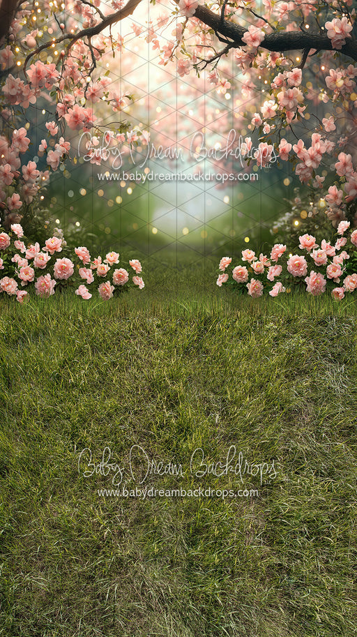 Sweeps Pink Blossom Gateway (JA)