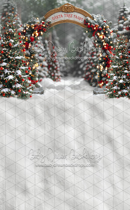 Sweeps Santa Village Tree Farm (JA)