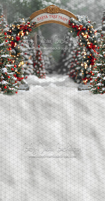 Sweeps Santa Village Tree Farm (JA)