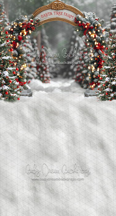 Sweeps Santa Village Tree Farm (JA)