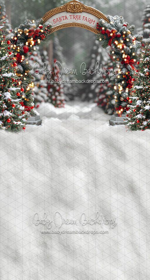 Sweeps Santa Village Tree Farm (JA)