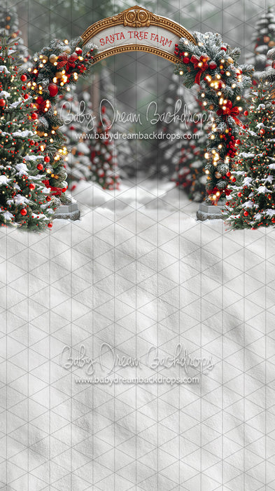 Sweeps Santa Village Tree Farm (JA)