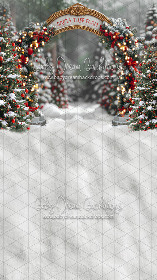 Sweeps Santa Village Tree Farm (JA)