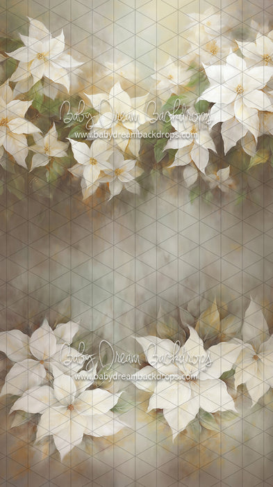 Sweeps Snow White Poinsettias (LL)