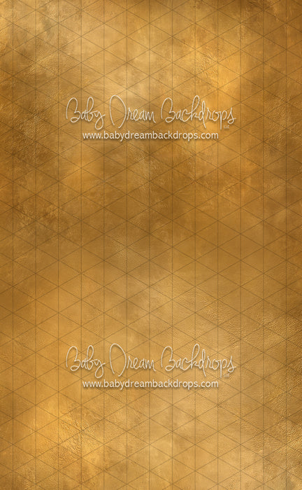 Sweeps Solstice Gaby (CC)