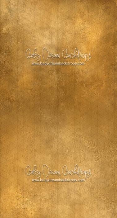 Sweeps Solstice Gaby (CC)