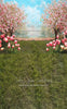 Sweeps Spring Blossom Path (JA)