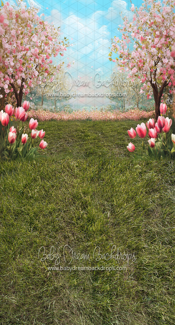 Sweeps Spring Blossom Path (JA)