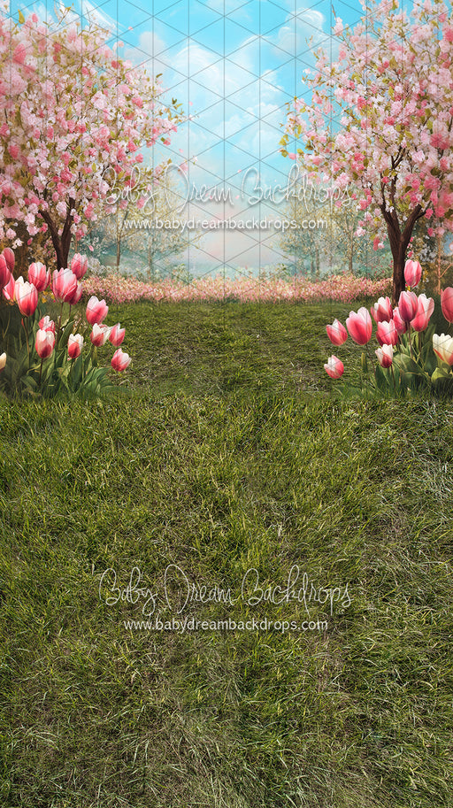 Sweeps Spring Blossom Path (JA)