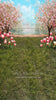 Sweeps Spring Blossom Path (JA)