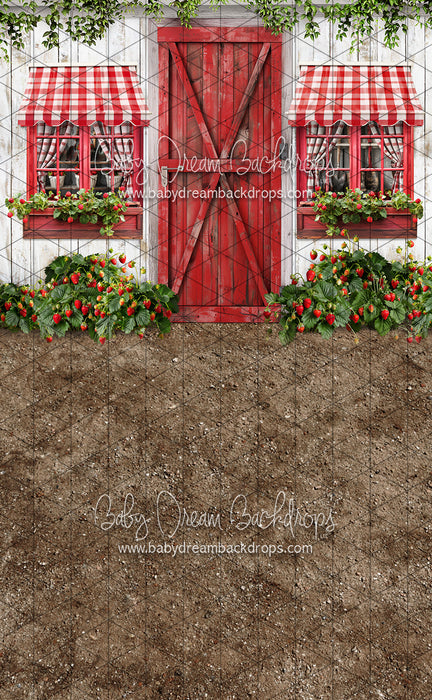 Sweeps Strawberry Farm Shed (JA)