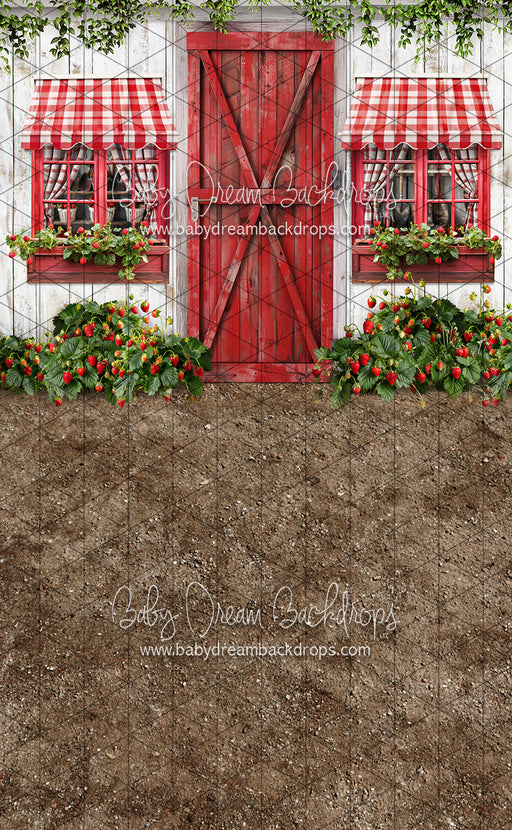 Sweeps Strawberry Farm Shed (JA)