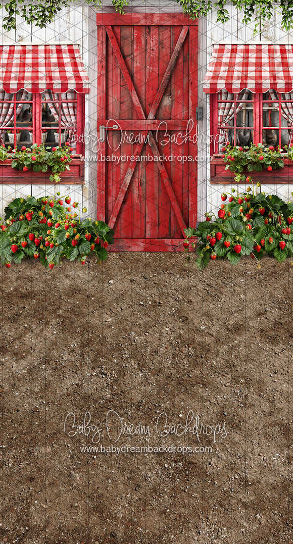 Sweeps Strawberry Farm Shed (JA)