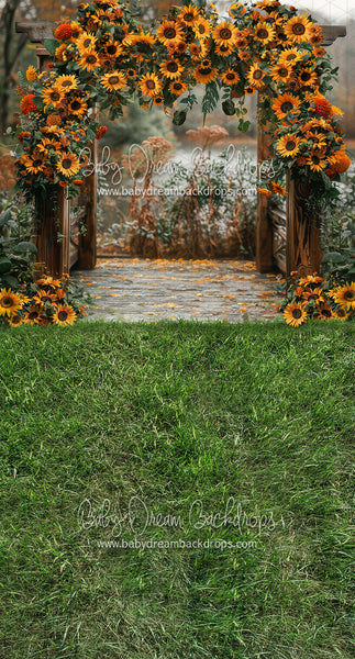 Sweeps Sunflower Arch (JA)