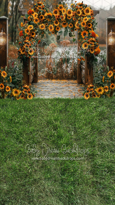 Sweeps Sunflower Arch (JA)