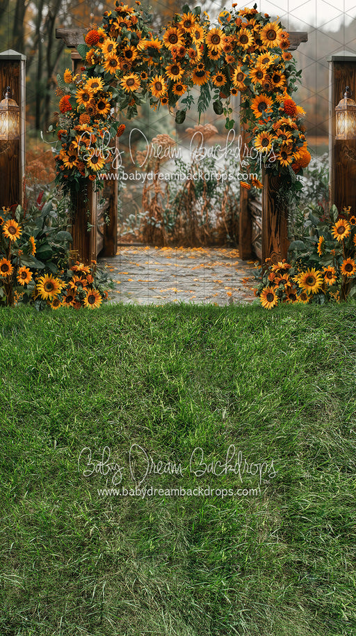 Sweeps Sunflower Arch (JA)