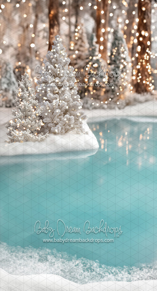 Sweeps Winter Skate Pond (JA)