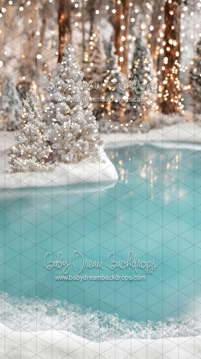 Sweeps Winter Skate Pond (JA)