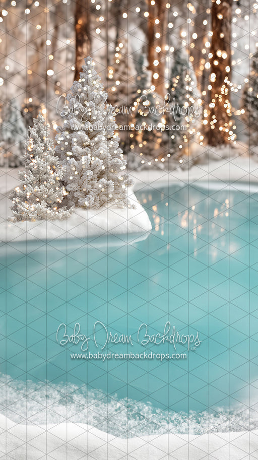 Sweeps Winter Skate Pond (JA)