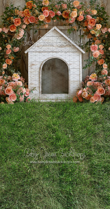 Sweeps Garden Spring Dog House (JA)