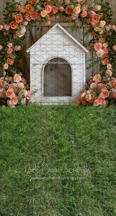 Sweeps Garden Spring Dog House (JA)