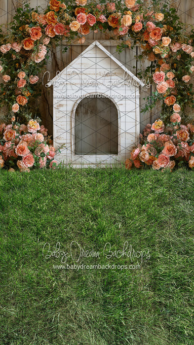 Sweeps Garden Spring Dog House (JA)