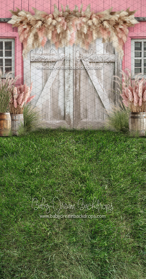 Sweeps Pink Pampas Barn (JA)