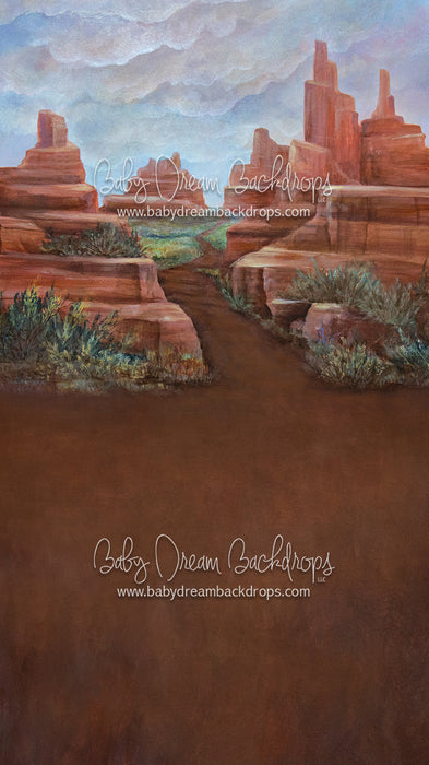 Sweeps Arizona Adventure