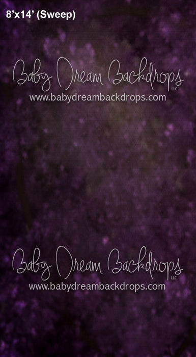 Sweeps Branches Dreamy (AZ)