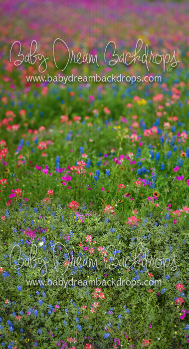 Sweeps Chasing Wildflowers (BD)