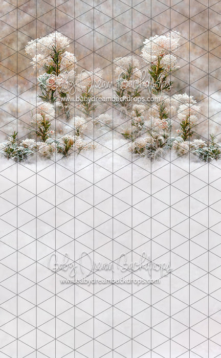 Sweeps Flirty Frost (LL)