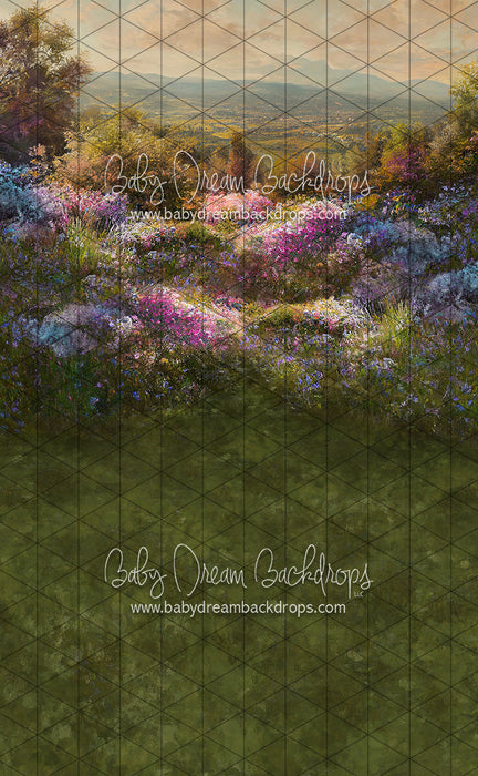 Sweeps Hill Top Spring (LL)