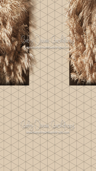 Sweeps Leafy Nook (CC)