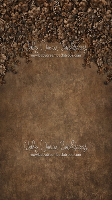 Sweeps Miss Maddie Bronze