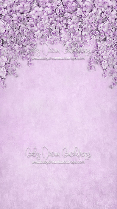 Sweeps Miss Maddie Lavender