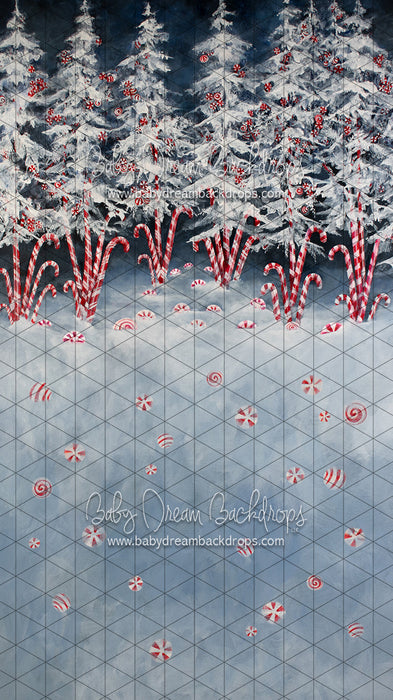 Sweeps Peppermint Delight (Extra on Floor)  (SS)