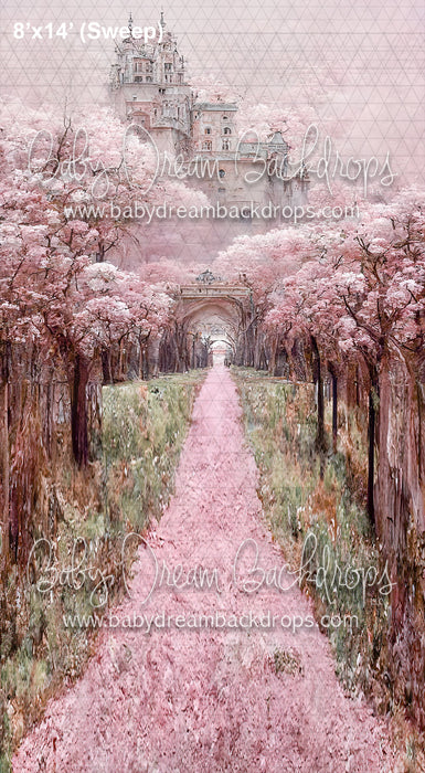 Sweeps Pink Petal Castle Path (SM)