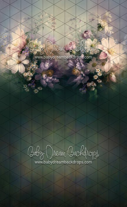 Sweeps Sense of Spring (LL)