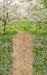 Sweeps Simple Spring Path (CC)