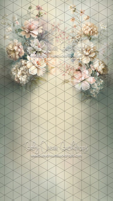 Sweeps Spring Smile (LL)