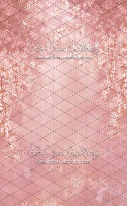 Sweeps Swept Up in Spring Bashful