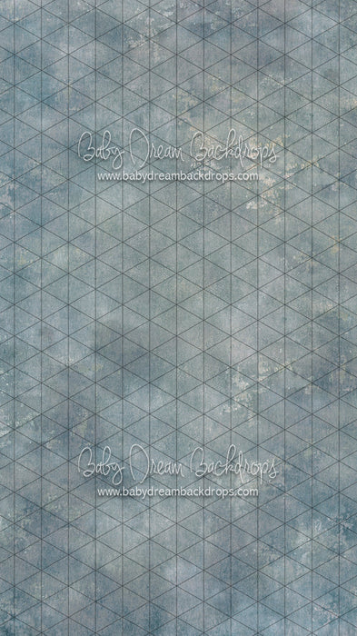 Sweeps Texture Town Chesapeake (SS)