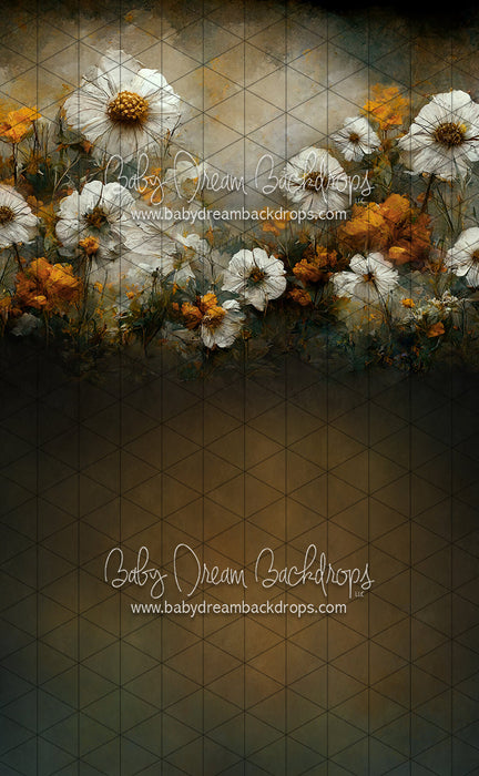 Sweeps Wishful Field (LL)