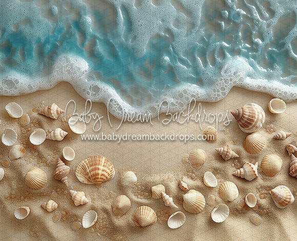 Sweet Baby Beach Babe Shells (CC)