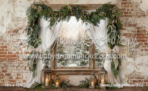 Sweet Cedar Window (CC)