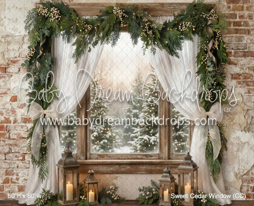 Sweet Cedar Window (CC)